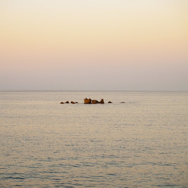 Inicio Pexels Photo 32463653